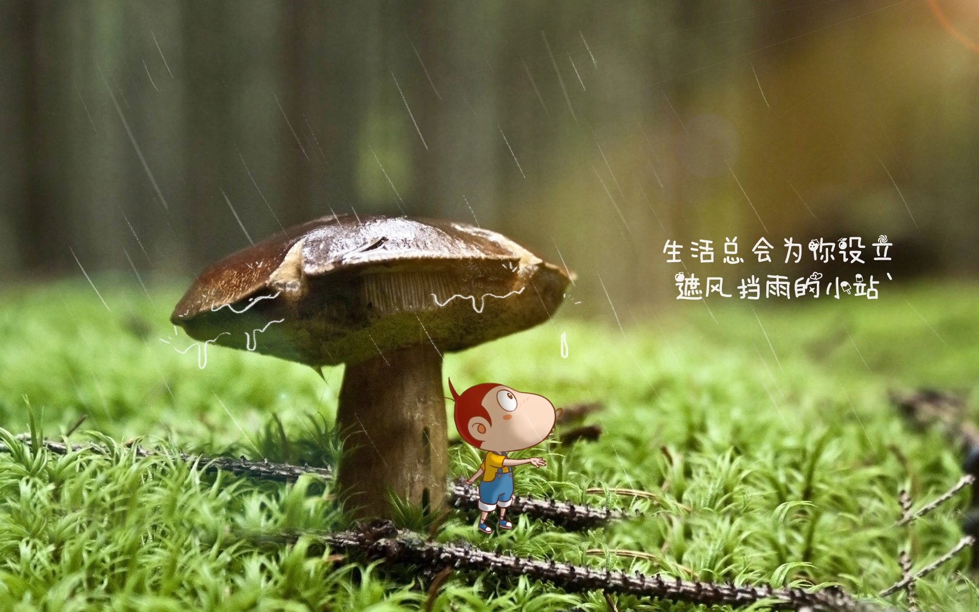 开云网页版-_极限滑板竞速：城市街头的速度狂欢_，极限滑板车百科