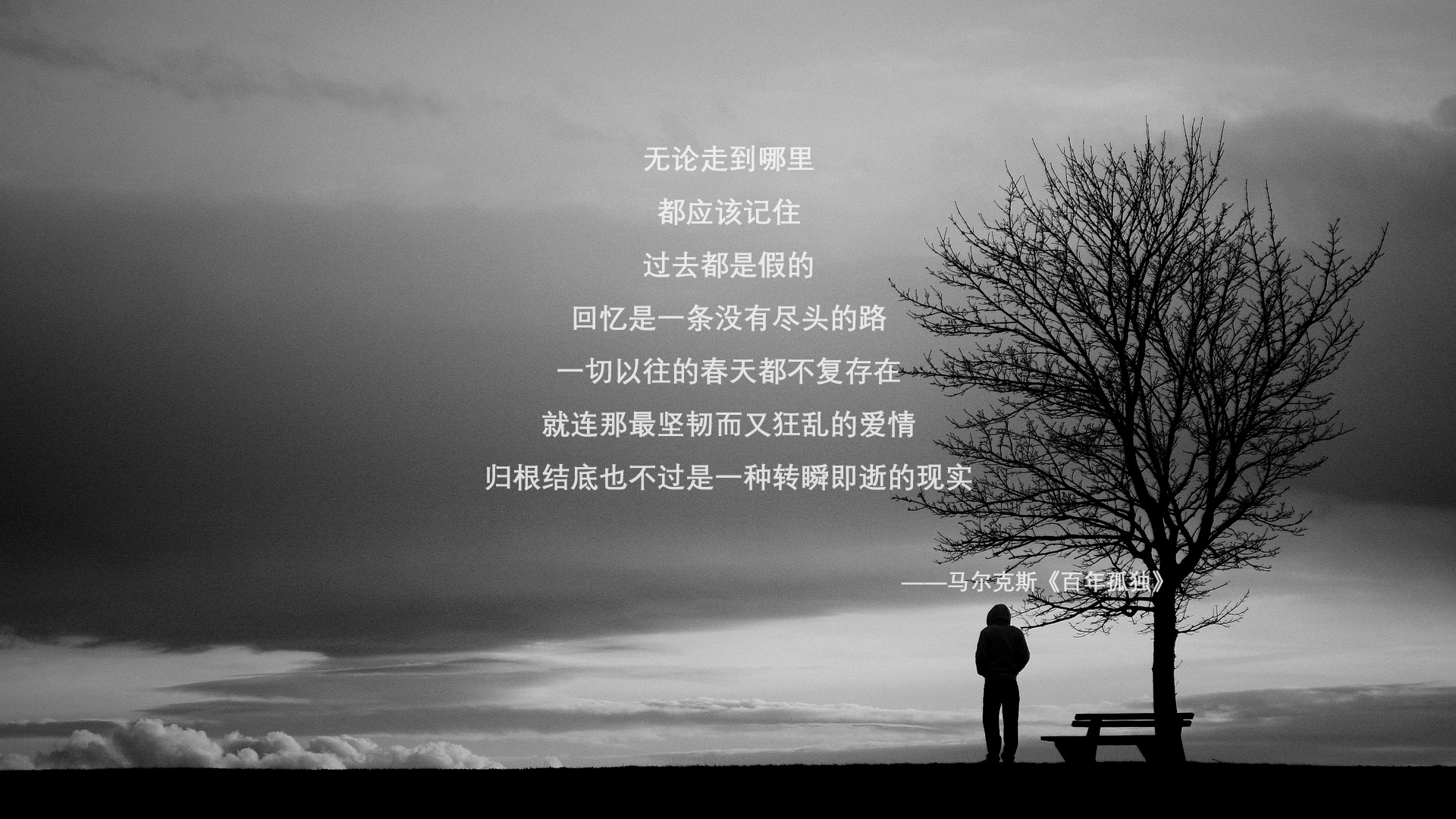 传奇骑手列车表演，骑术展示精彩纷呈，骑士骑车视频