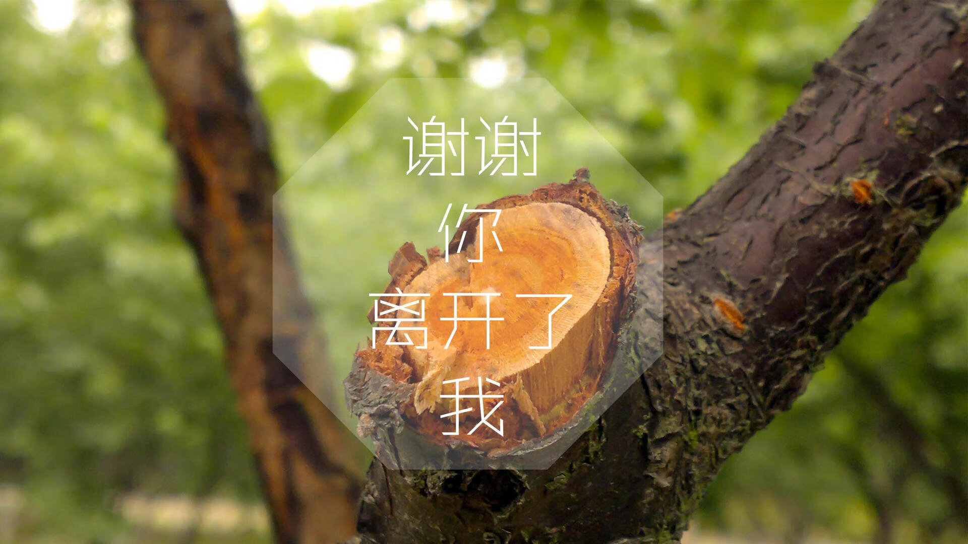 夜空星光下的天文体育夜跑