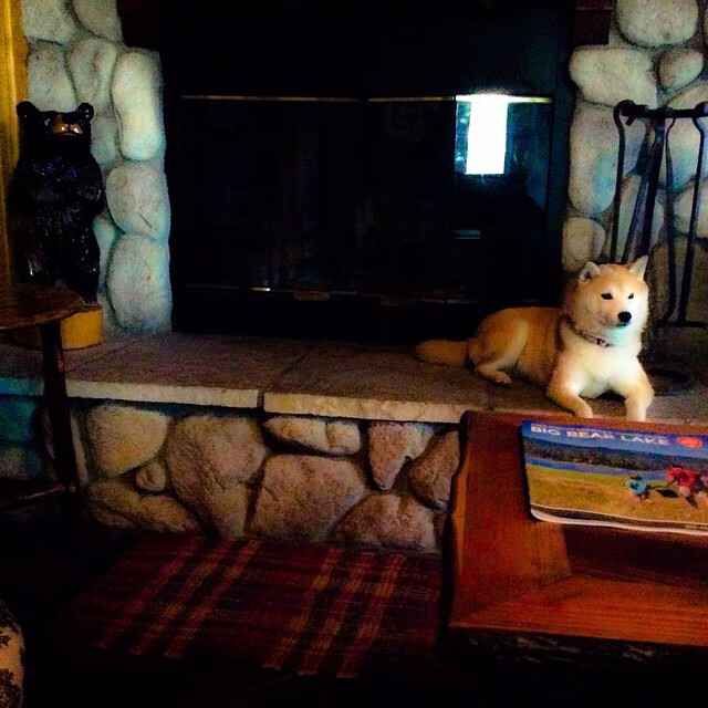 kaiyun-FPX战队重启海外集训项目，提升对抗经验，fpx回国