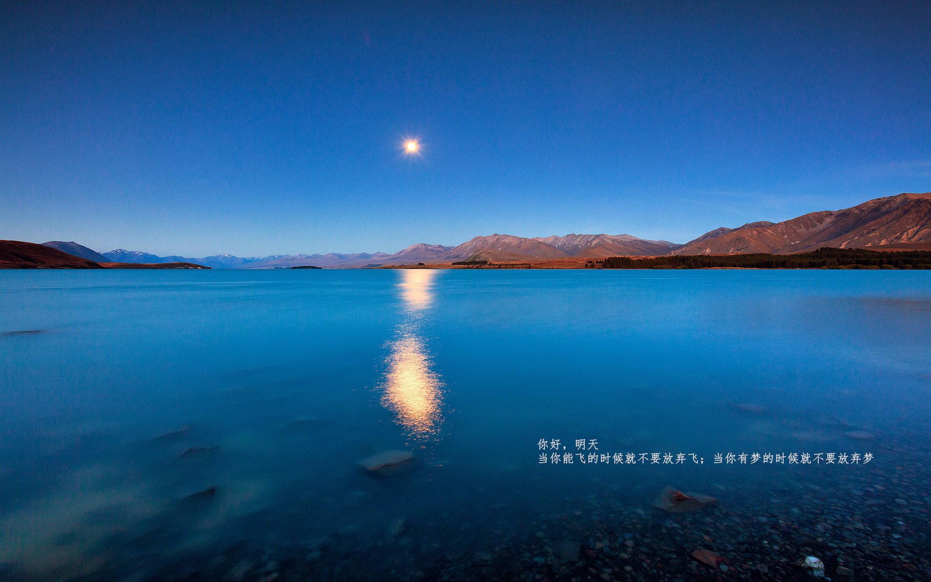 开云体育下载网页版-TES队员参与“职业体育身份认证工程”