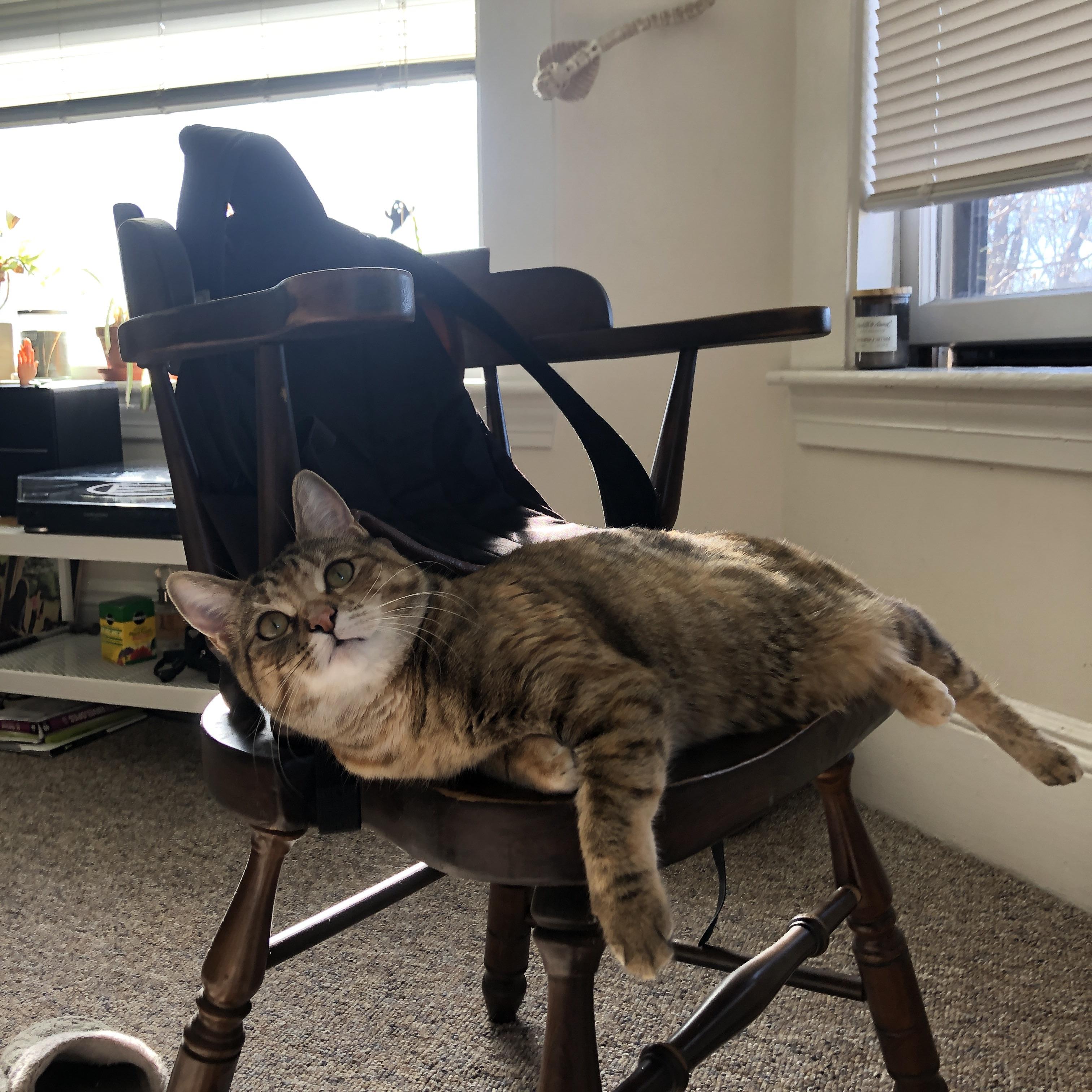 上海上港攻防表现均衡,领军积分榜,上海上港近期战绩