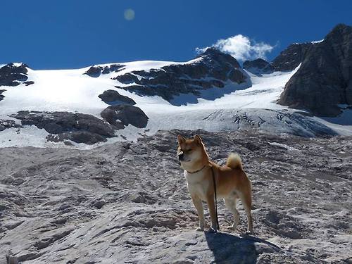 伯德再战神州,篮球传奇风采尽展,伯德nba