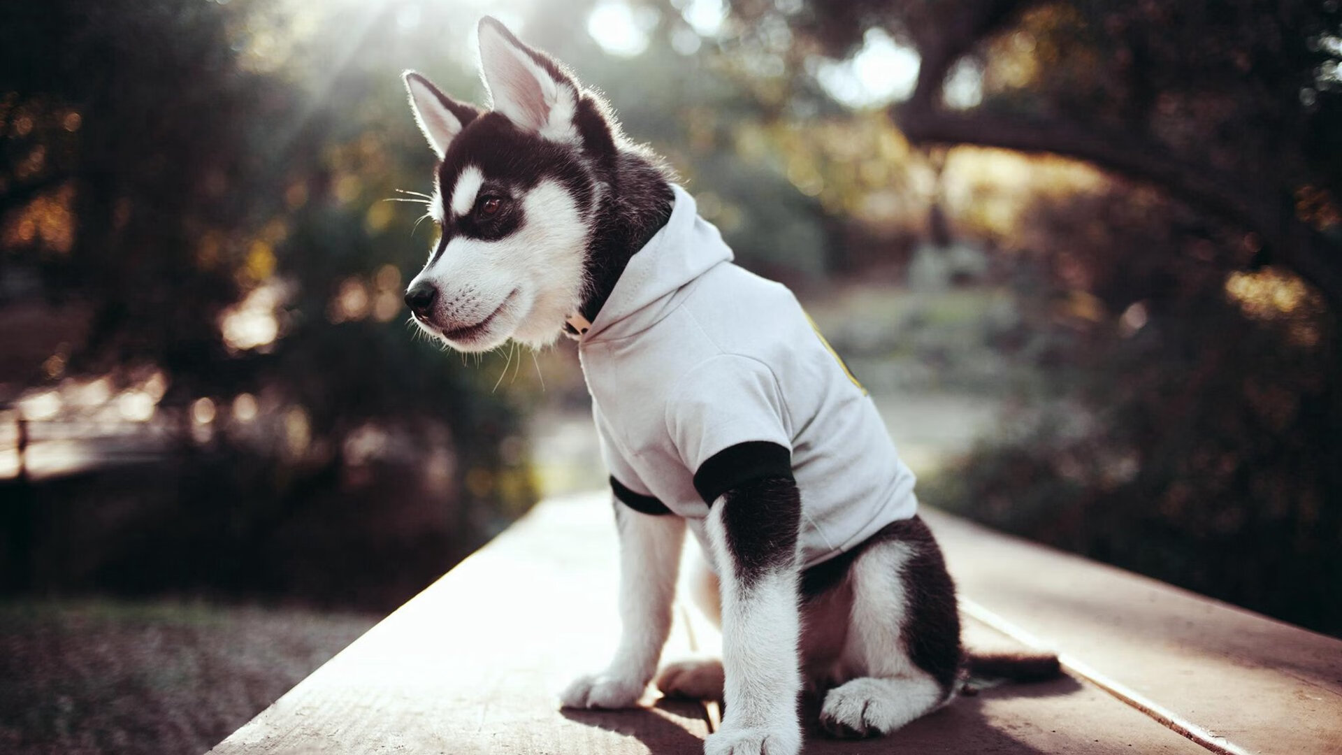 利物浦淘汰皇马,欧冠中萨拉赫戏耍门将破门,欧冠_利物浦3-2马竞 萨拉赫双响