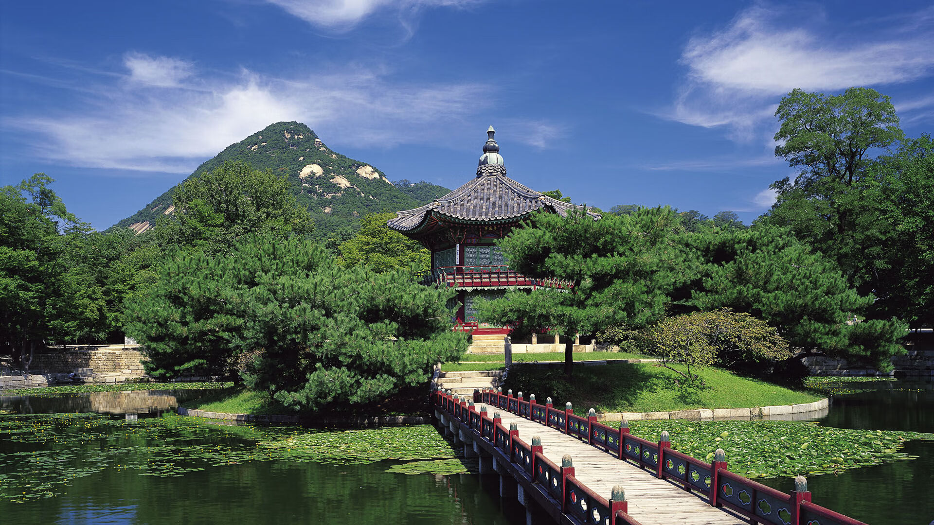 弗拉门戈季后赛冲击力十足,弗拉门戈对竞技俱乐部