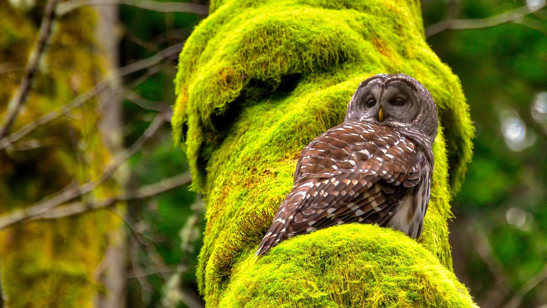 全国青少年射击赛小将屡创佳绩,2021年全国青少年射击比赛