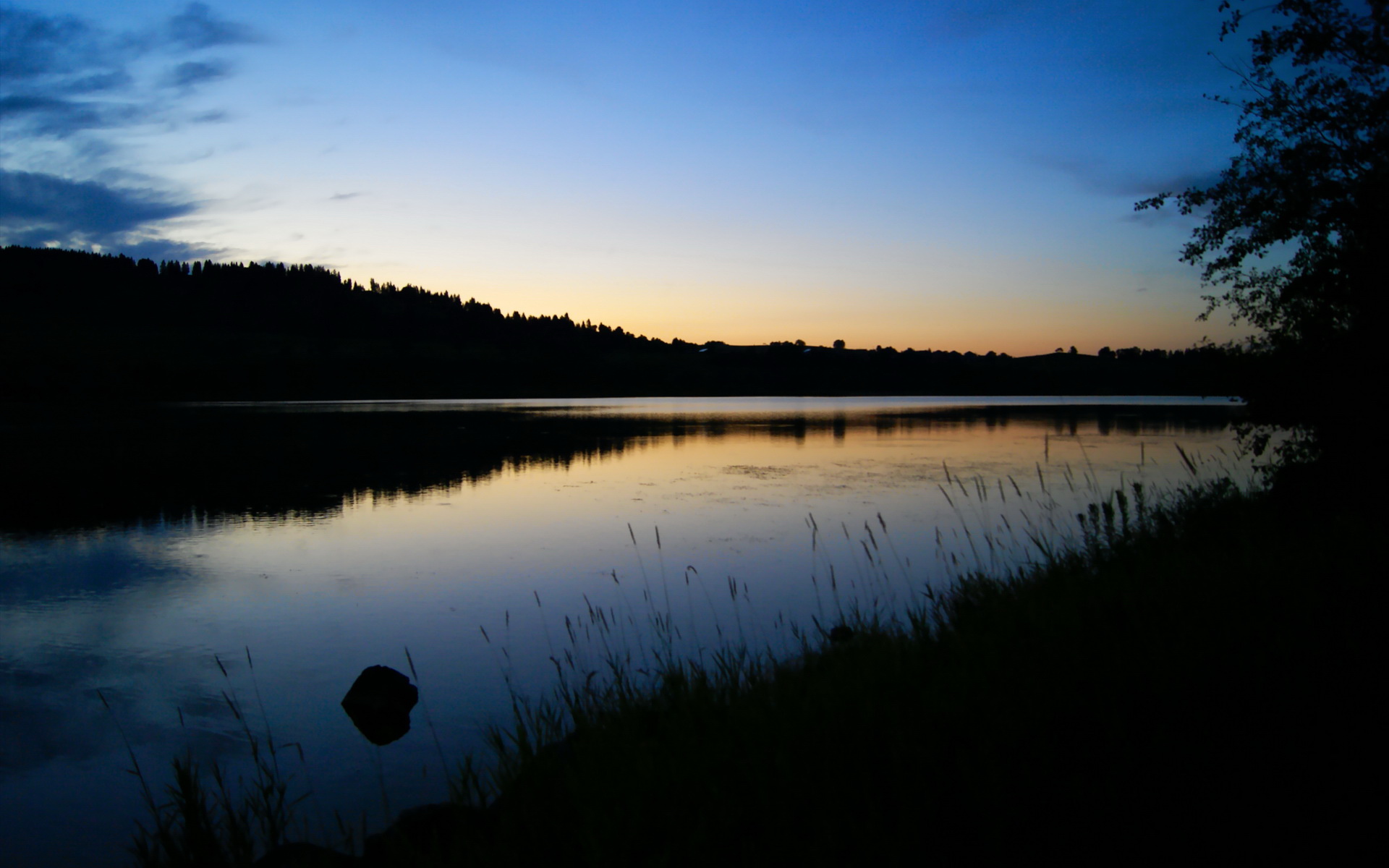德甲球队视觉注意力训练对传控效率的提升效果研究,视觉注意力差的表现