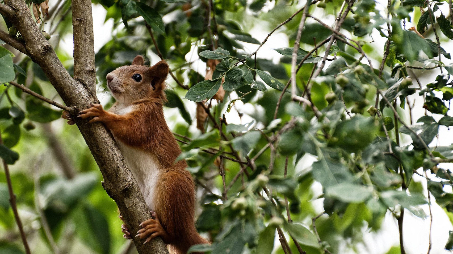 青少年体育行为家庭影响因素调研报告,青少年体育现状