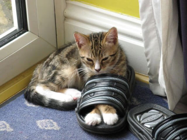 高校运动心理咨询体系完善研究,高校运动心理咨询体系完善研究方案