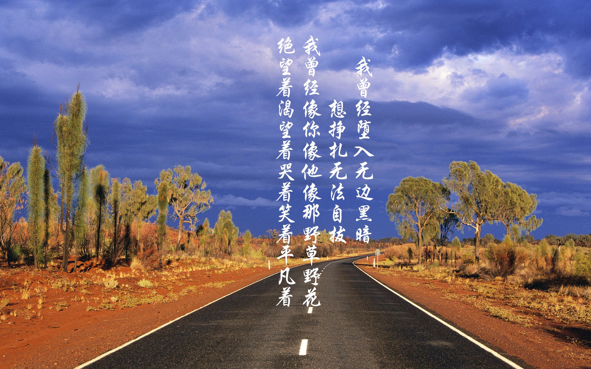 世界杯中国队逆袭 球迷情绪振奋,世界杯中国队逆袭 球迷情绪振奋视频