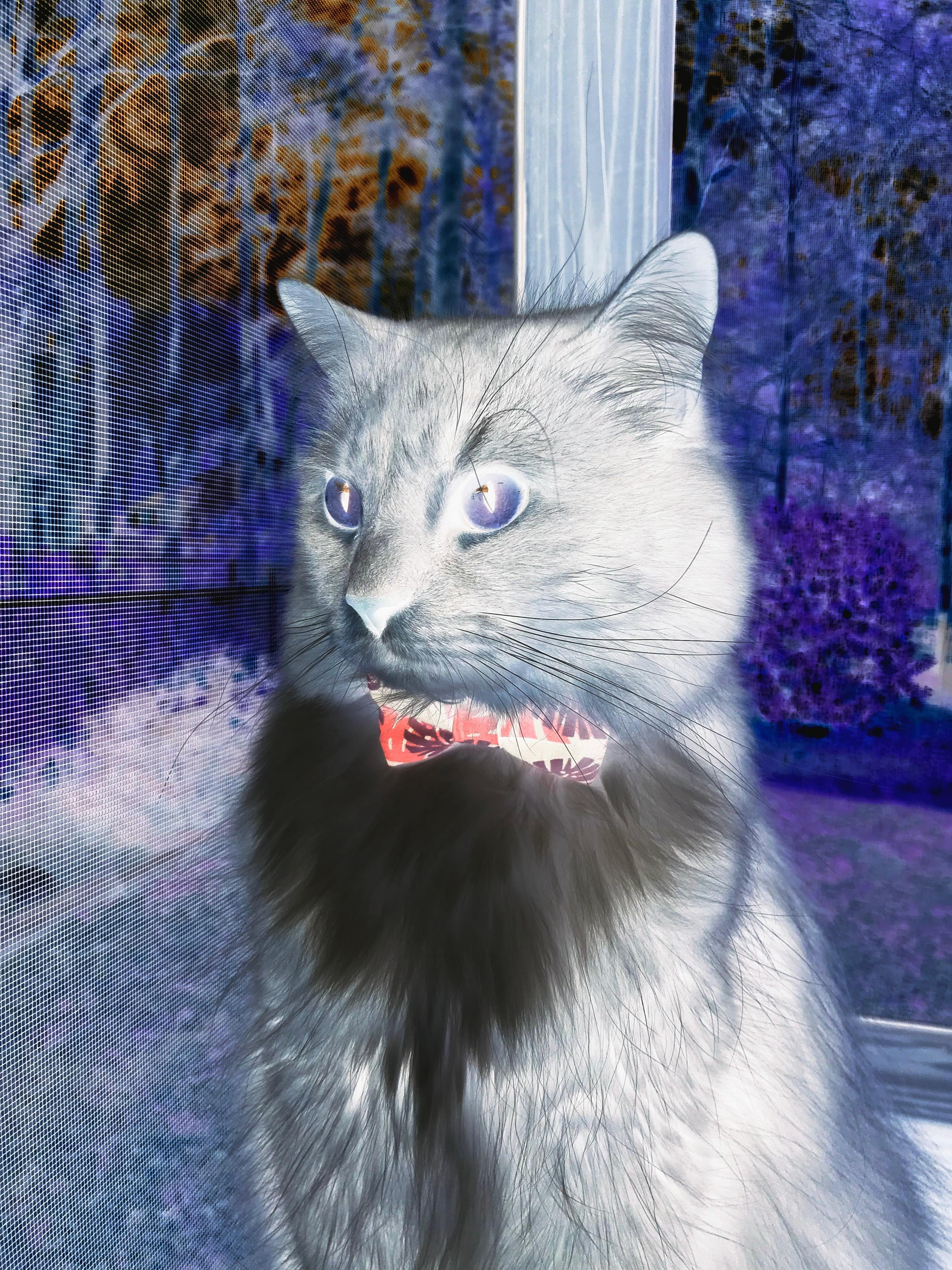 中国三人篮球女队不断突破技战术极限,中国篮球女子三人