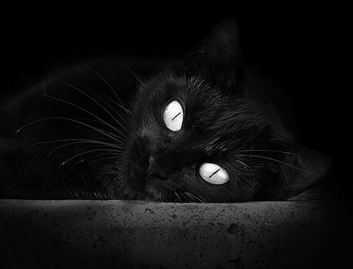 低位进攻在现代篮球中的生存空间,低位进攻在现代篮球中的生存空间包括