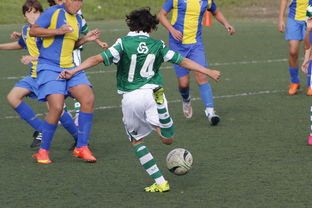 开云在线-体育纪录片内容更加丰富，体育纪录片主题