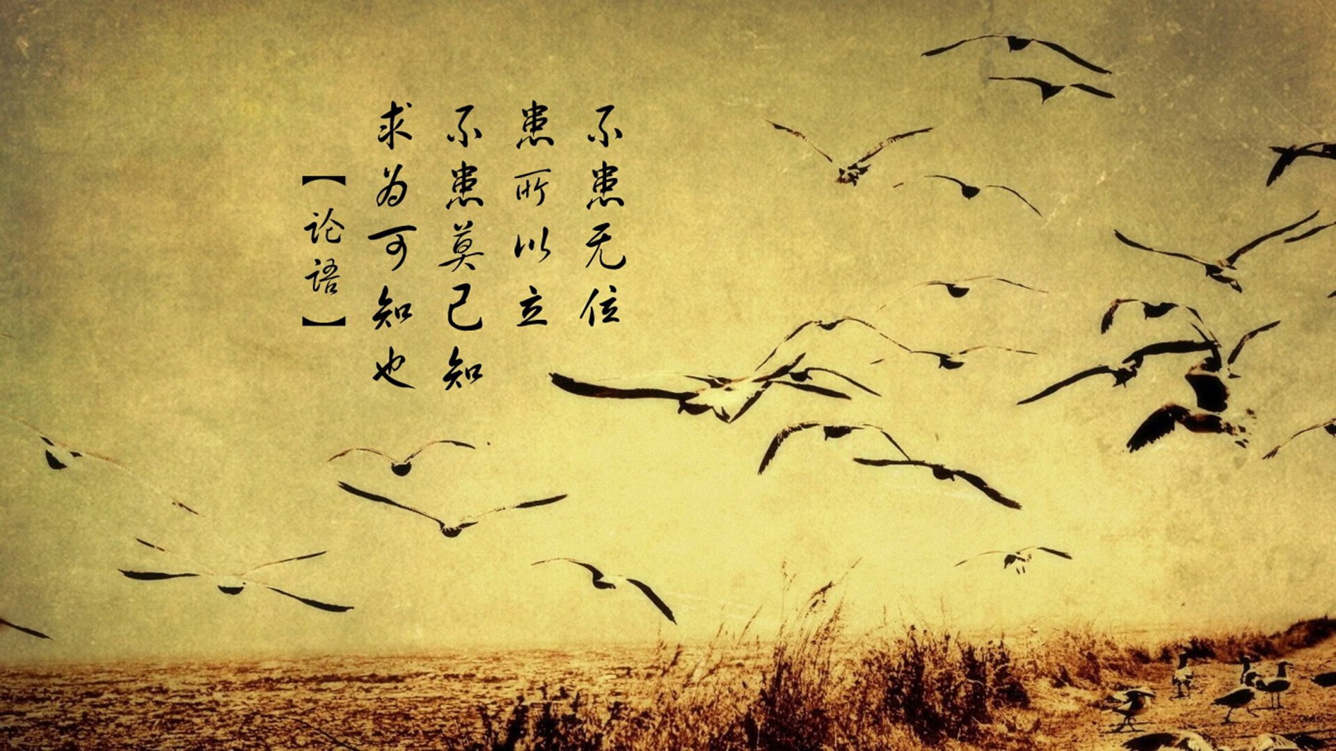 俱乐部选人体系缺少长期追踪机制,俱乐部选人体系缺少长期追踪机制会怎么样