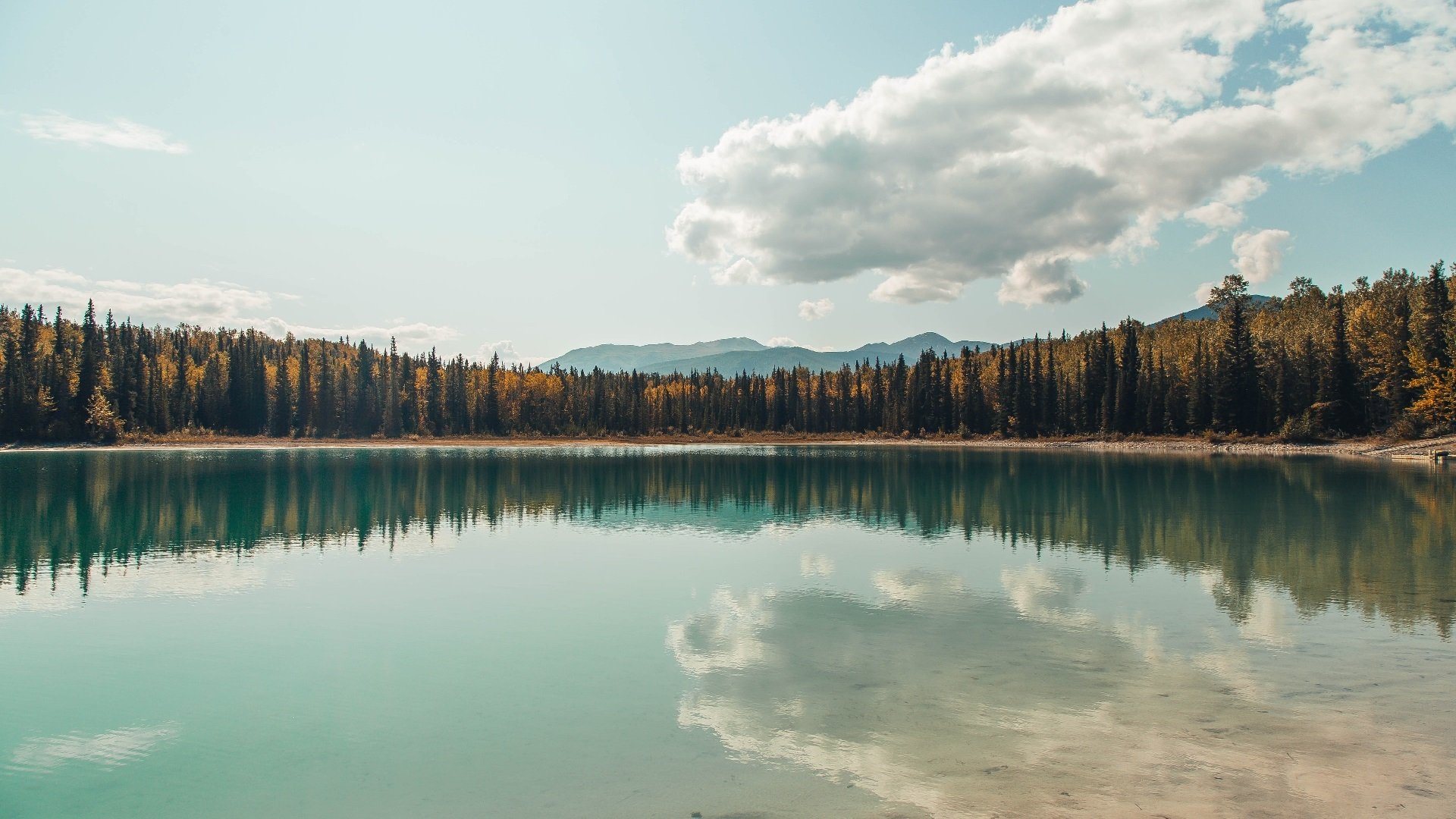 内线得分手的策应能力如何提升,内线策应战术